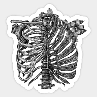 Skeleton Rib Tropical Sticker